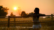 Silhouette of woman feel free stand in barley wheat grass field at sunset 