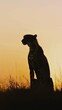 Majestic silhouette of a cheetah against the vibrant hues of a breathtaking sunset