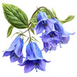 Clipart illustration a bluebell flower and leaves on white background. Suitable for crafting and digital design projects.[A-0003]