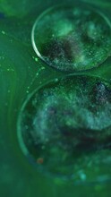 Vertical Video. Shiny Fluid Background. Liquid Glitter Mix. Oil Ink Floating. Silver Black Dye Glowing Particles In Fat Transparent Drops On Green Hypnotic Abstract Swirls Water.