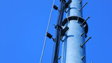 Fototapeta  - Cables and ground wires on telephone base poles. Closeup of group of wires on rack on metal pole of 4G or 5G telecommunication substation on blue sky background with copy space with selective focus.