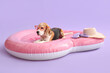 Cute dog in sunglasses on inflatable mattress in shape of heart on lilac background