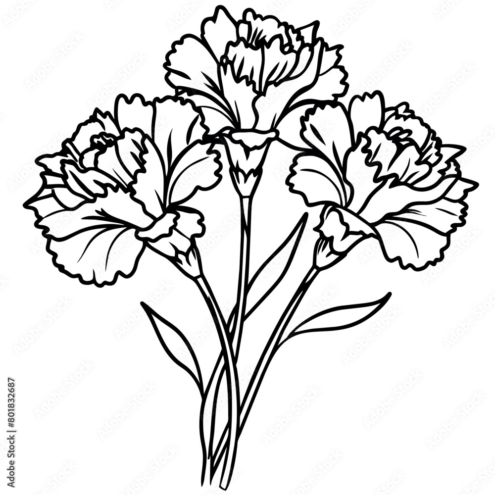 Carnation Flower Bouquet outline illustration coloring book page design ...