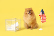 Cute Pomeranian dog with USA flag on yellow background