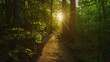 A tranquil forest trail with sunlight filtering through the canopy, inviting viewers to connect with nature and experience Earth's beauty on Earth Day