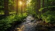 A serene forest scene with sunlight filtering through the trees, highlighting lush green foliage and a gentle stream, symbolizing harmony with nature on Earth Day