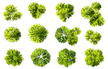 Wall Mural - vector set of top view green tree for outdoor plan or map and architecture drawing, elements for env