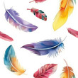 Seamless pattern with colorful feathers on white background. Watercolor illustration