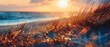 © Qstock - Golden Hour Sunset on Sandy Beach with Silky Grass and Ocean Background