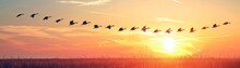 Flock Of Migratory Birds Flying In A Vformation At Sunset, Symbolizing Teamwork, Great For Corporate Or Teambuilding Campaign Ads