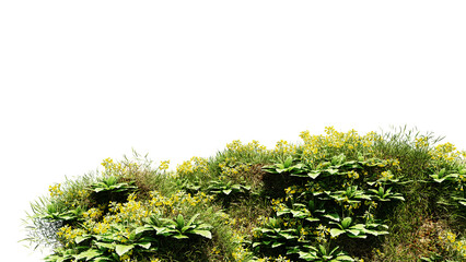 Wall Mural - 3d render various types of flowers grass bushes shrub and small plants on transparent background