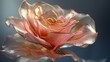 Transparent delicate rose flower