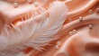 Feathers on a silk background
