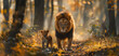 © boxstock production - Portrait of a lion and his cub standing in a misty forest under the morning sun