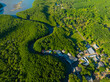 Aerial view green mangrove forest sea bay eco nature landscape