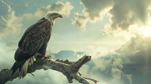 Majestic Sentinel: The Regal Bald Eagle Vigilant On A Tree Perch
