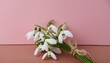 Tranquil Minimalism: Snowdrops Bouquet with Copy Space