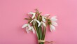 Simple Elegance: Snowdrops on Pink with Copy Space