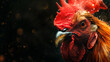 Close-up of angry rooster's head on dark background