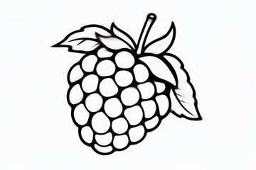 Simple black and white raspberry coloring page for children