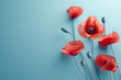 Red poppy flowers on blue background