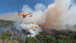 Firefighting Drone:Drone flying over a forested area and conducting aerial surveillance to monitor fire activity