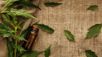 Poster - neem essential oil on burlap background