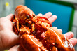 boiled lobster in male hands