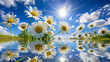 Daisies on the background of water