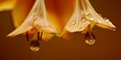 Calming of natural rhythms of water concept a thin drops from each flower hanging from the petals of a yellow lily on clean background 