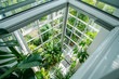 Skylight overhead view into a sunroom filled with plants and natural light.