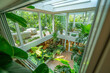 Looking down from a skylight into a sunlit room with vibrant indoor greenery.