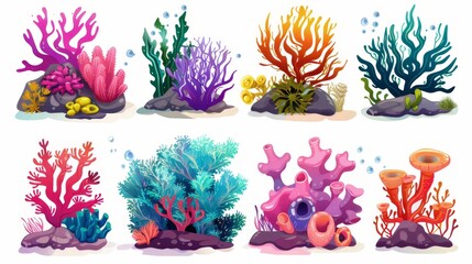 Corals, spirulina, aquatic flora, tropical underwater marine life, sea fauna and alga on white background. Tropical corals, seaweed, coral reef plants and animals on white.