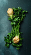 Celery. Fresh celery root and celery stalk. Vegetables for detox and diet. On a black stone background. Top view.