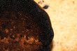 Very Burnt Bread Roll Toast and a Lightly Toasted Close Up Texture Close Up