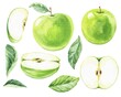 Green apple watercolour food illustration 