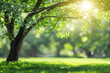 © Kafi - green tree in the park