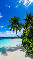 Wall Mural - palm tree on Maldive beach - white sand - blue sky and sea - slights clouds - portrait view