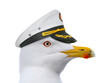 portrait seagull in a sea captain's cap isolated on a white background