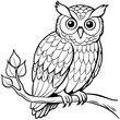 owl coloring book page (14)