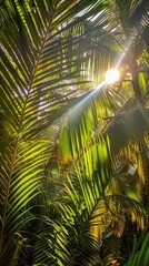 Wall Mural - Sunlight filtering through the leaves of a palm tree, creating intricate patterns of light and shadow