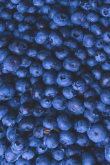 Sticker - Fresh blueberry background. Texture blueberry berries close up.