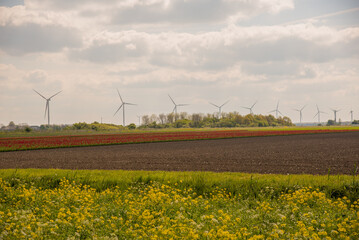 wind turbines farm