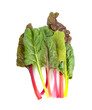 Bunch of swiss chard leafves isolated on white background. Fresh swiss rainbow chard.