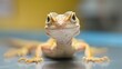 Small lizard on examination table, exotic care, close up, curiosity in treatment, bright clarity 