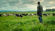 Farm Owner Supervising Grazing Cows. Generative AI.