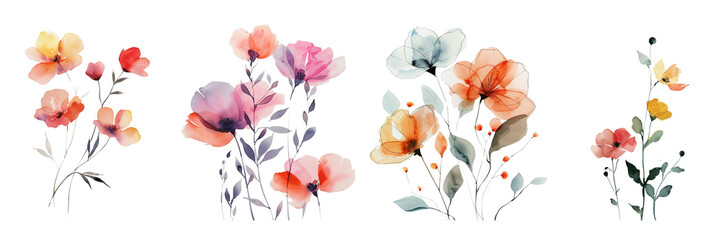 on a transparent background - Set of bold and minimalist depiction of fresh, clean watercolor flowers on a transparent background (2)