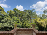 Fototapeta Las - Serene Tropical Garden View with Sunny Blue Sky