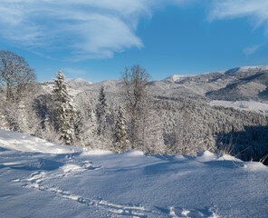 Wall Mural - Winter Gorgany massiv mountains scenery view from Yablunytsia pass, Carpathians, Ukraine.