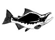 Hand Drawn Illustration of Sockeye Salmon Black and White